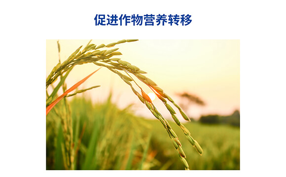 �������������0-400-450-�Θ���-���˺�_06