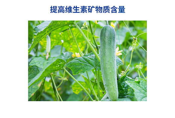 �������������0-400-450-�Θ���-���˺�_09