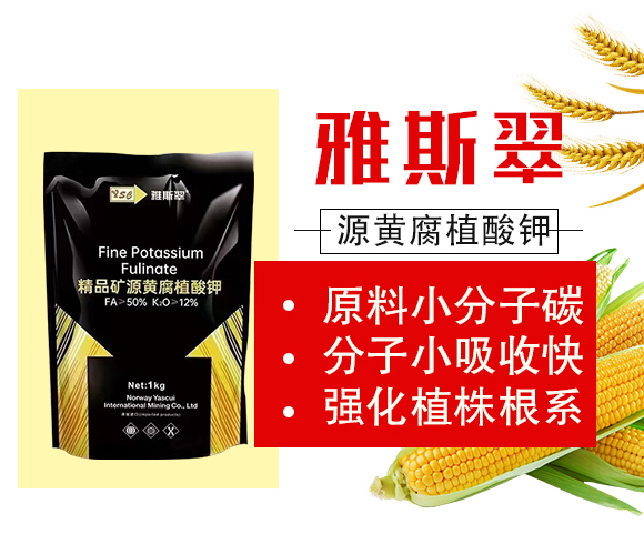 ��Ʒ�VԴ�S��ֲ���-��˹��_02