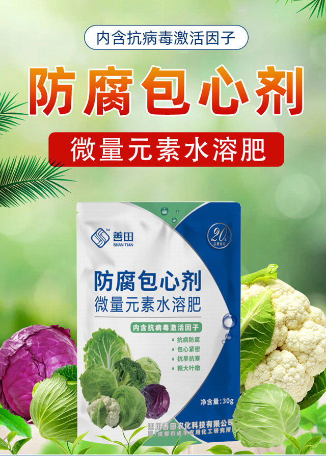 �������Ą�-����_01