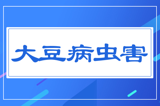 �󶹲��x(ch��ng)��