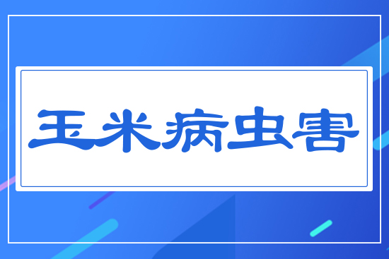 ���ײ��x(ch��ng)��