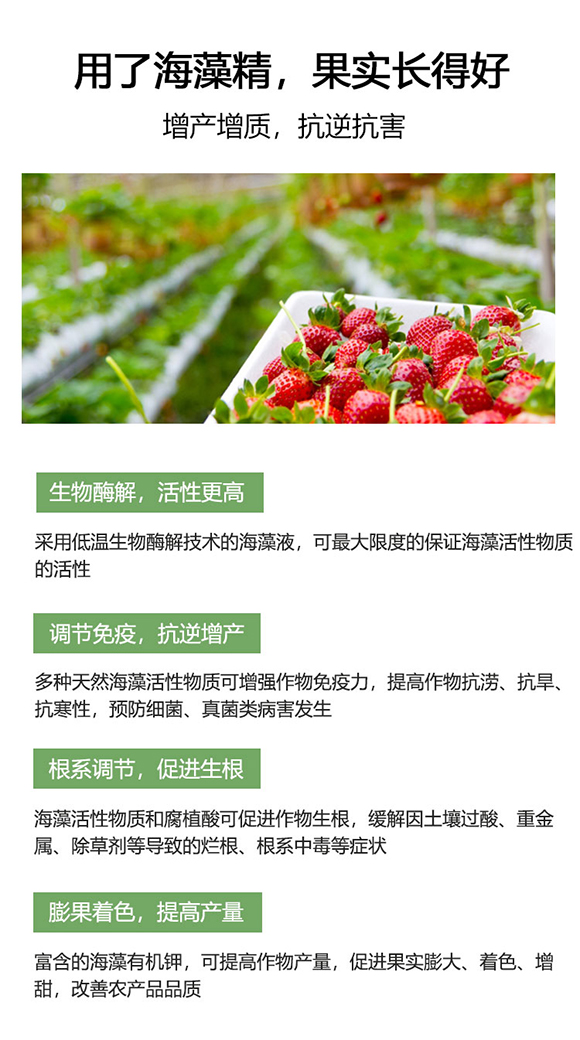 ���徫-����΢-��������3