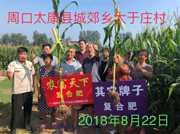 ��������������͏ͺϷ���17-17-17-�r������6