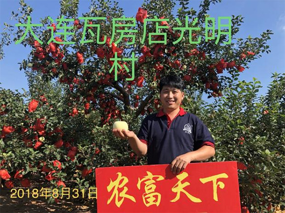 �p���ȫˮ�܏ͺϷ���20-20-5-�r������4