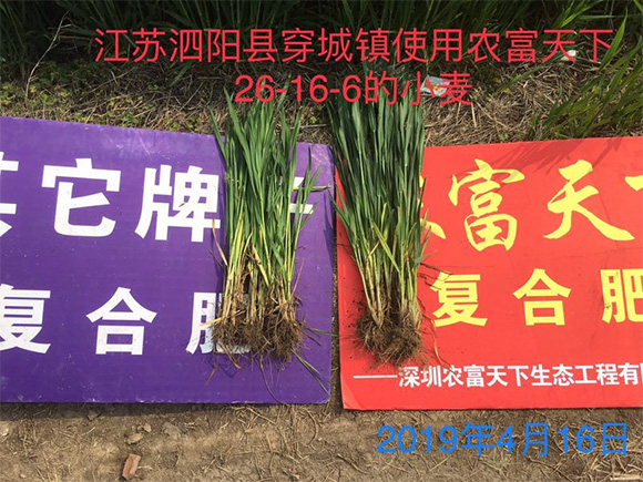 ��������������͏ͺϷ���17-17-17-�r������5