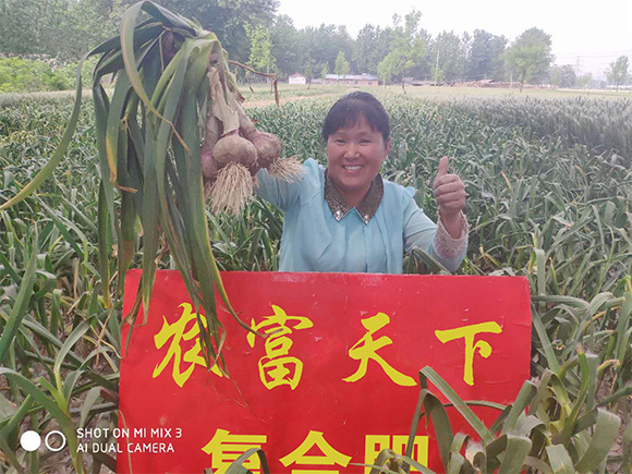 �p���ȫˮ�܏ͺϷ���20-20-5-�r������6