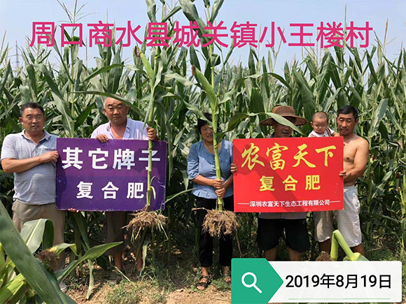 ��������������͏ͺϷ���17-17-17-�r������4