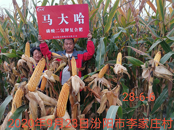 С����������������ȫˮ�܏�(f��)�Ϸ���26-16-6-�R���-�r(n��ng)������6