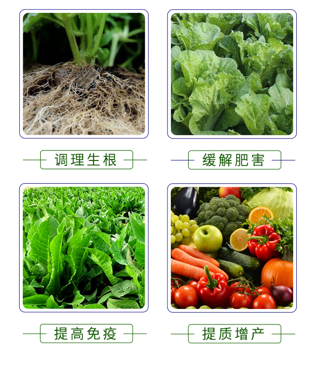 ��Դ���r(n��ng)-��ϲ��(l��)_05