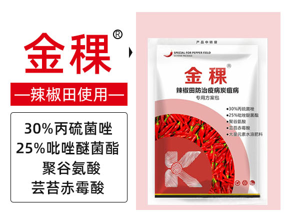 ����-���ս�_03