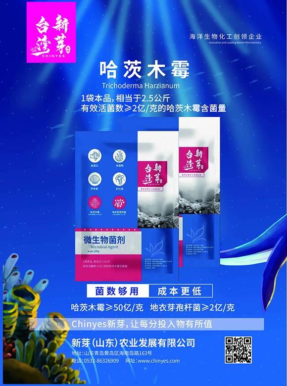 50�|����ľù-�_����ѿ2