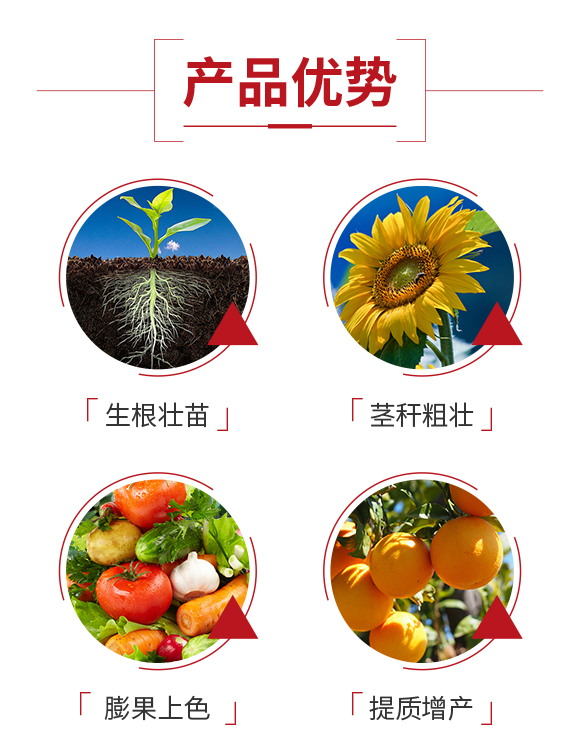 ��ɽ����r(n��ng)�I(y��)�Ƽ����޹�˾_03