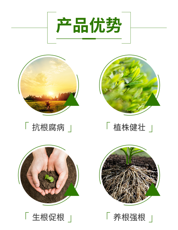 河南艾康作物保護有限公司_03