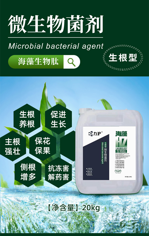 ɽ�|��������Ƽ����޹�˾_01