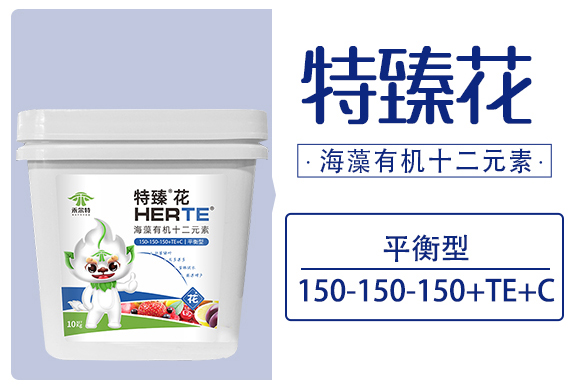 ���黨-�̠���_03