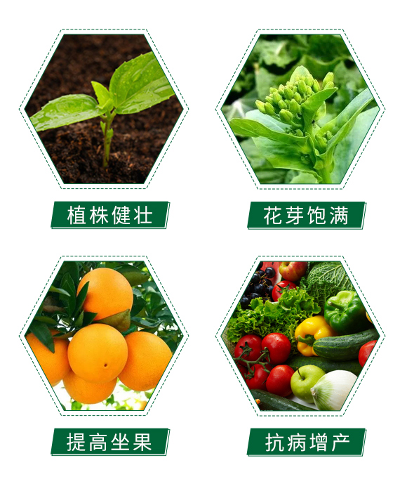 �������-�Ϳɶ�_06