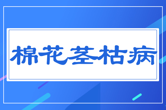 �޻��o�ݲ�