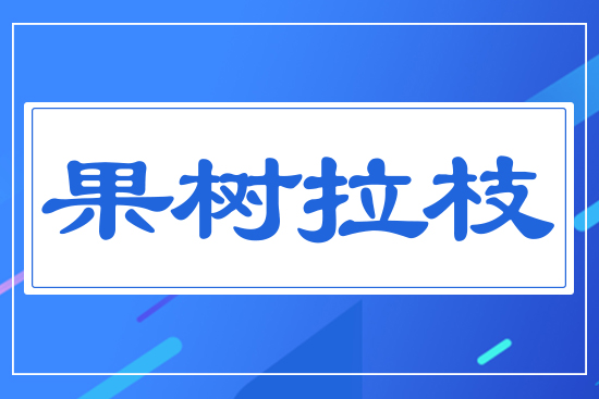 ����(sh��)��֦