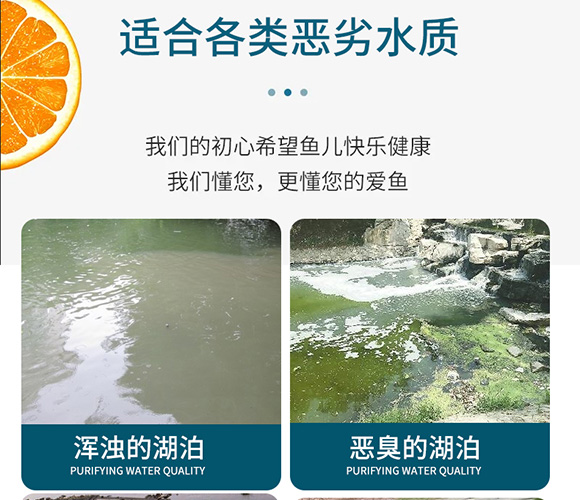 ��(r��n)�ɵ׸ă�ˮ��-��(r��n)������_03