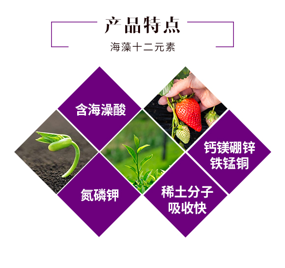 �ӱ���Ⱥ�r(n��ng)�I(y��)�Ƽ����޹�˾2_03