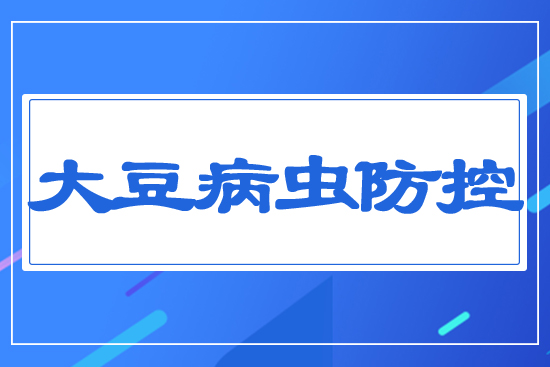 �󶹲��x(ch��ng)����