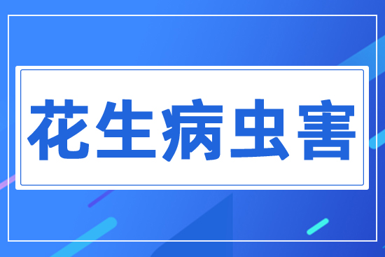 �������x(ch��ng)��