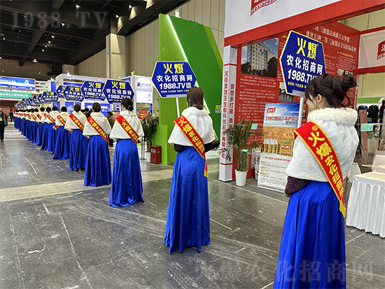 �𱬾W(w��ng)��Ů�Y�x�����(du��)����2024��ԭ�r(n��ng)�Y�p����(hu��)��