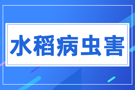 ˮ�����x(ch��ng)��