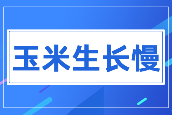 ���������L(zh��ng)����