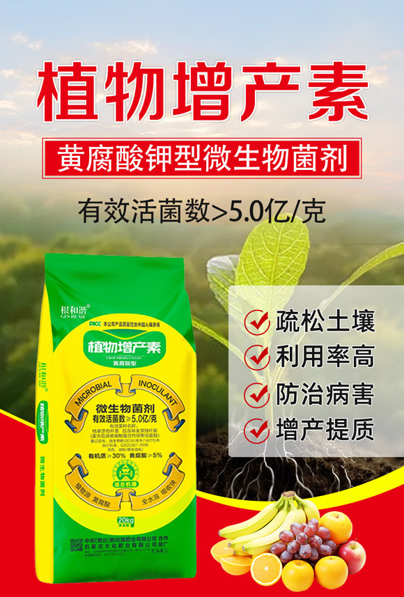 �S������ֲ�����a(ch��n)��-�����C-�󻯷ʘI(y��)_01