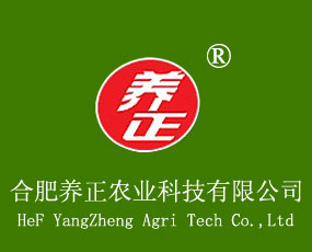 �Ϸ��B(y��ng)���r�I(y��)�Ƽ����޹�˾