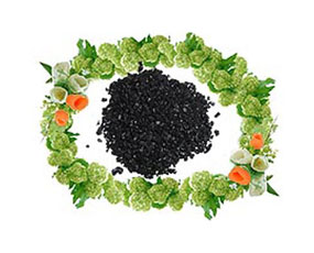 ���ɹŞ����Є�(chu��ng)(li��n)��ֲ���}�ӹ����޹�˾