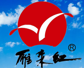 ɽ�|ʡ�I������t���﹤�����޹�˾