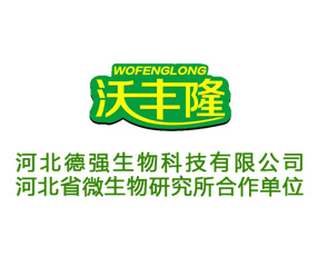 �ӱ�������Ƽ����޹�˾