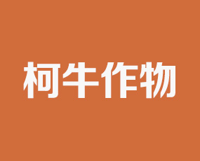 ��ꖿ�ţ���ﱣ�o(h��)���޹�˾