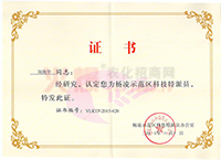 �Ƽ����ɆT