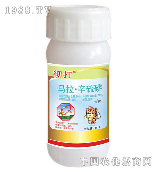 20%�R��������-�ش�-�����r(n��ng)ˎ