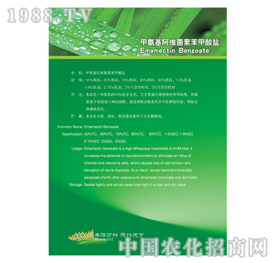 �װ������S���ر������}-�ֵ��Sˎ�I(y��)