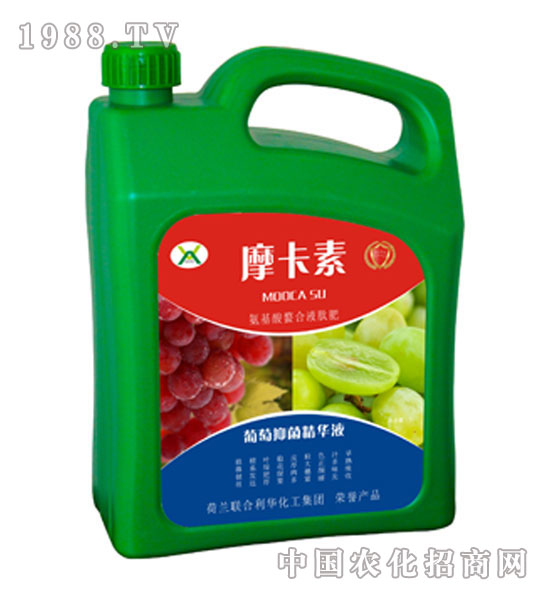 �����־����AҺ-Ħ����-��(qi��ng)о���H