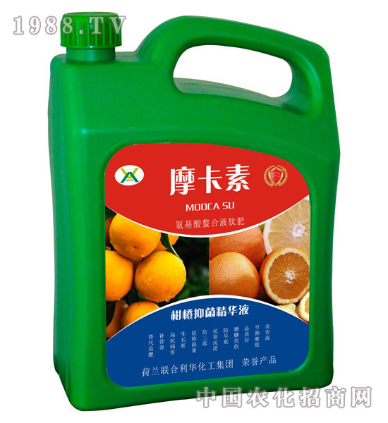 �̳��־����AҺ-Ħ����-��(qi��ng)о���H