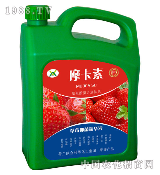 ��ݮ�־����AҺ-Ħ����-��(qi��ng)о��(gu��)�H