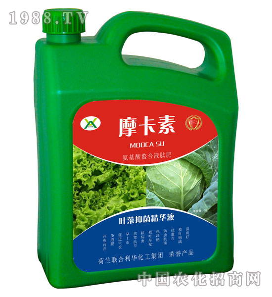 �~���־����AҺ-Ħ����-��(qi��ng)о���H