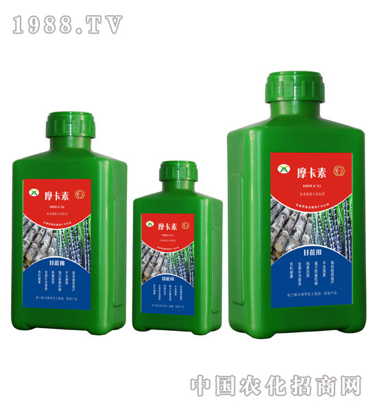 ���ጣ�ð���������Һ�ķ�-Ħ����-��(qi��ng)о��(gu��)�H