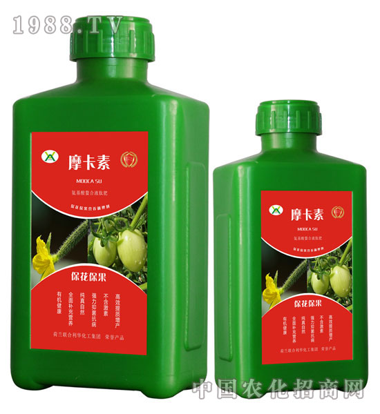 ?；ū９被狎弦弘姆?摩卡素-強芯國際