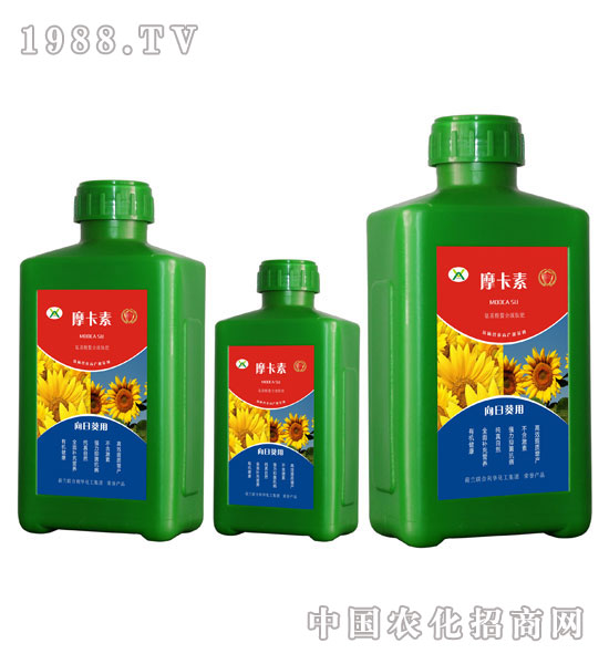 ���տ���(zhu��n)�ð���������Һ�ķ�-Ħ����-��(qi��ng)о��(gu��)�H