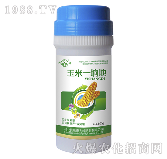 ����һ�s��-���