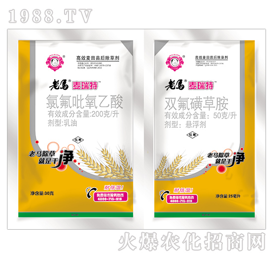 ���R�������p�B��-�ȷ���������+�p���ǲݰ�