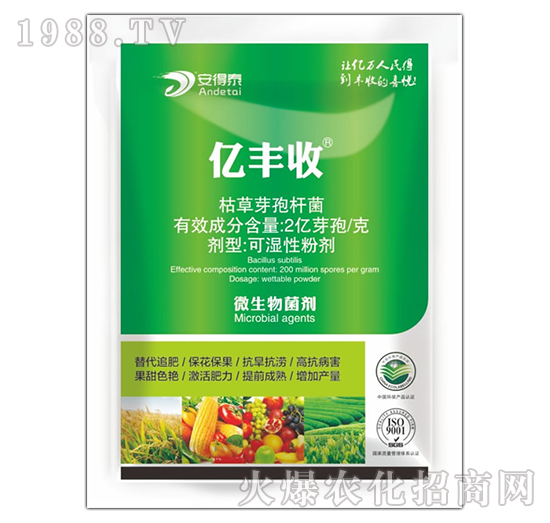 ΢�������-�|�S��-����̩