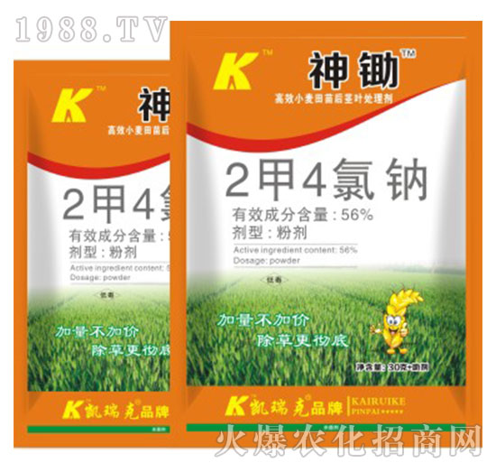 56%2��4���c-���z-�P���